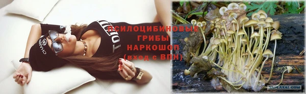 амф Карпинск