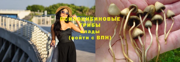 амф Карпинск