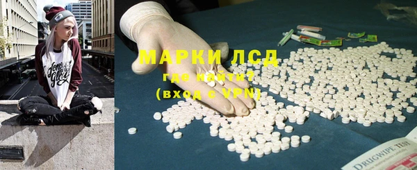 гашик Тутаев