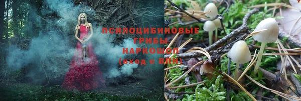амф Карпинск