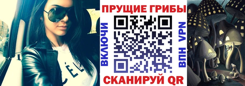 Галлюциногенные грибы мицелий  Купить  Завитинск 