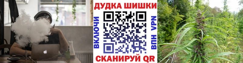 Канабис план  Купить  Завитинск 
